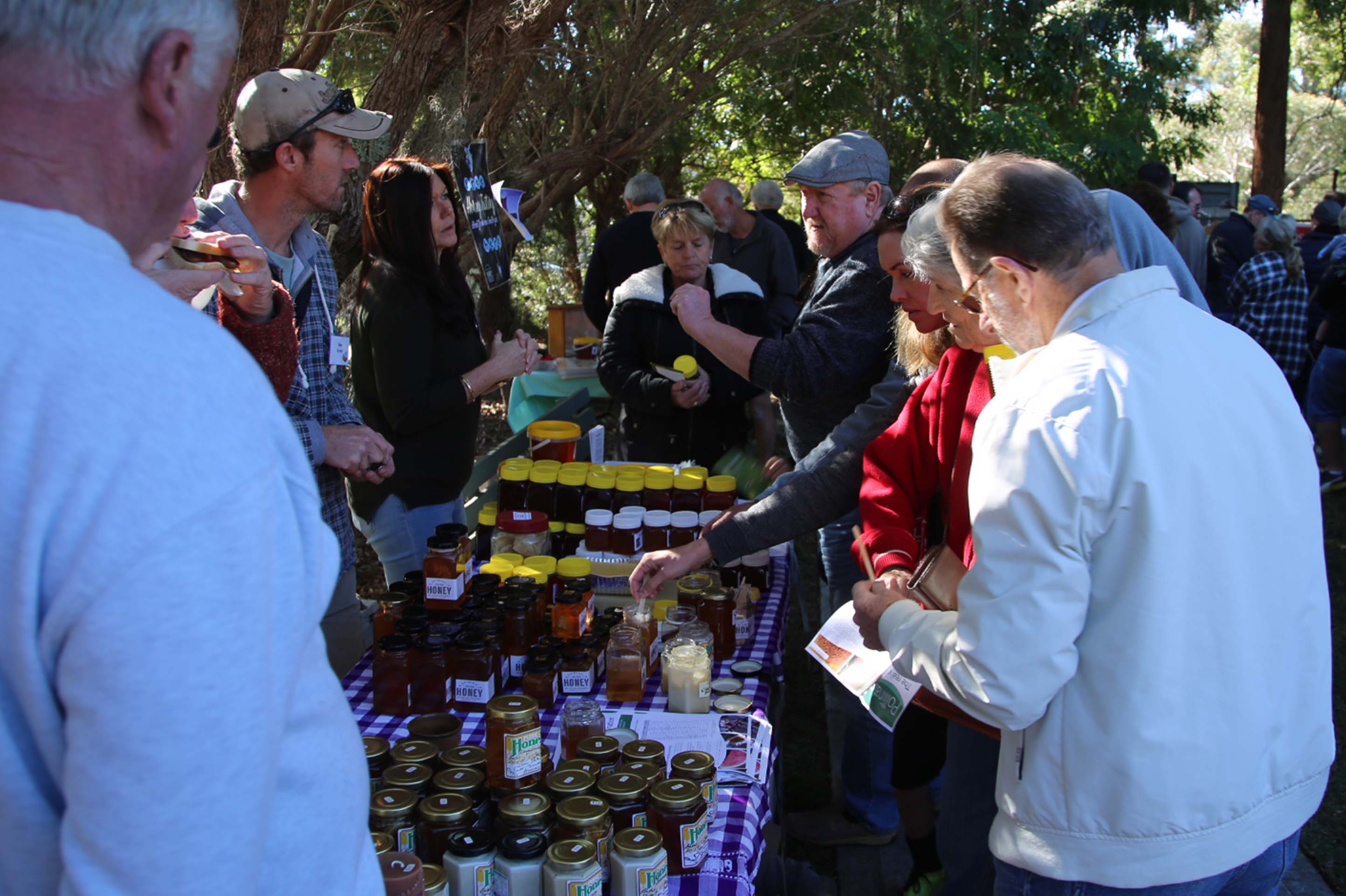 Illawarra-Beekeepers-may-2016-open-day-honey-tastings