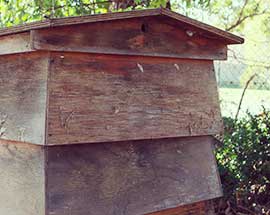 William-Broughton-Carr-Double-Wall-Vintage-Beehive-Illawarra-Beekeepers-Association