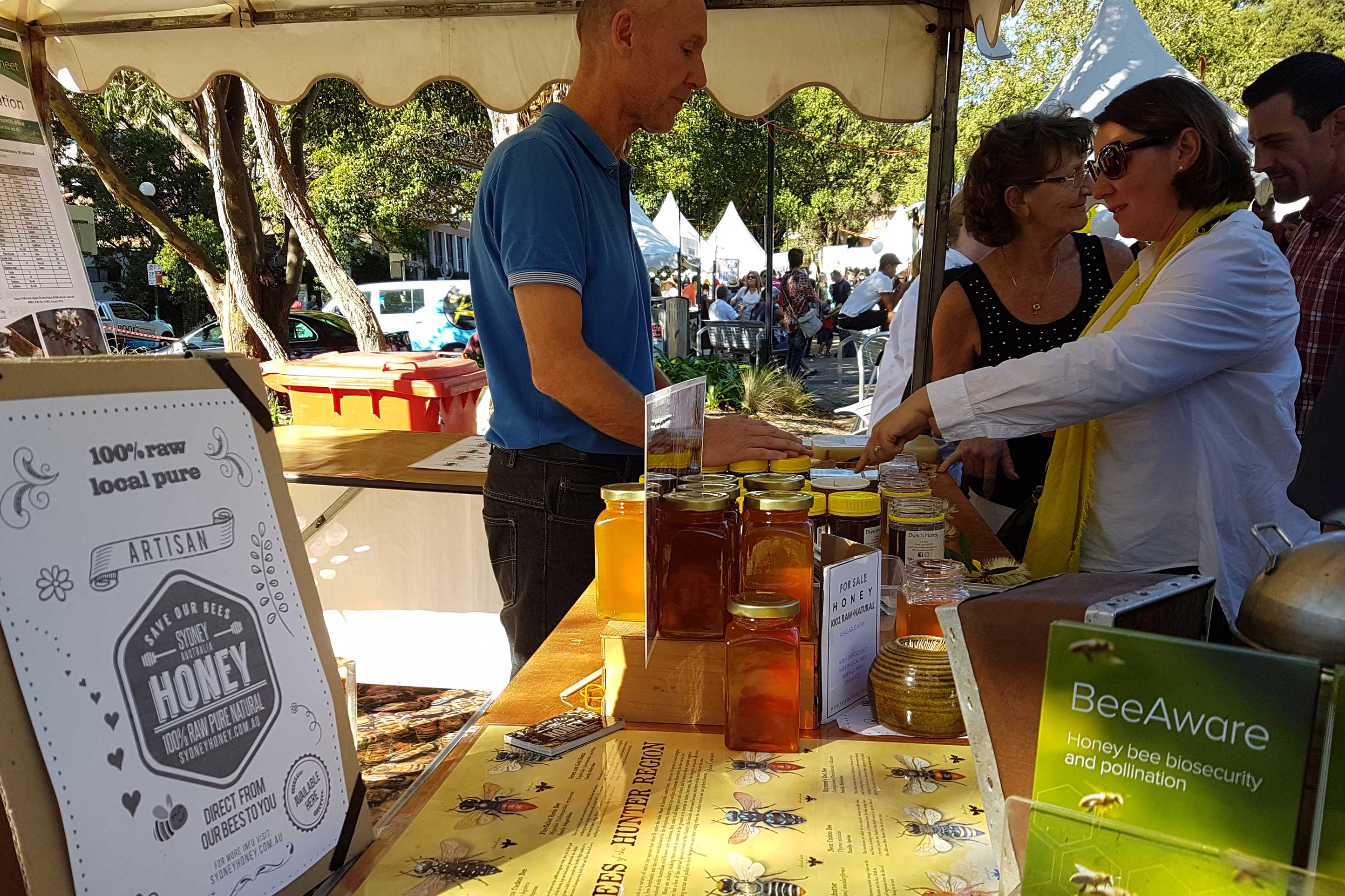 amateur-beekeepers-association-of-nsw-branch-illawarra-beekeepers