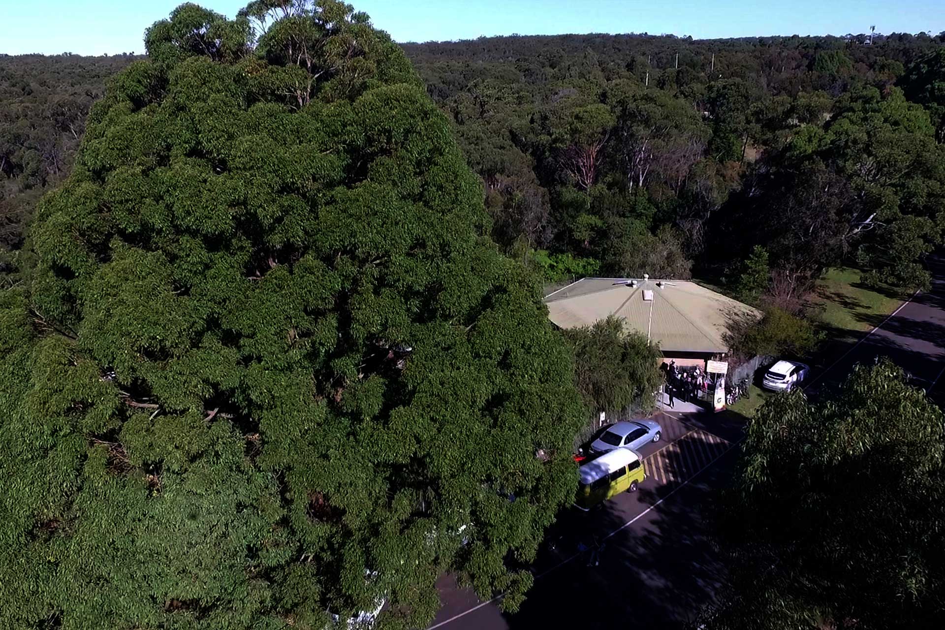 An Aerial Shot of our Apiary Illawarra Beekeepers May 2016